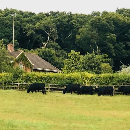 Yellowham Farm, Dorchester Higher Bockhampton Eksteriør bilde