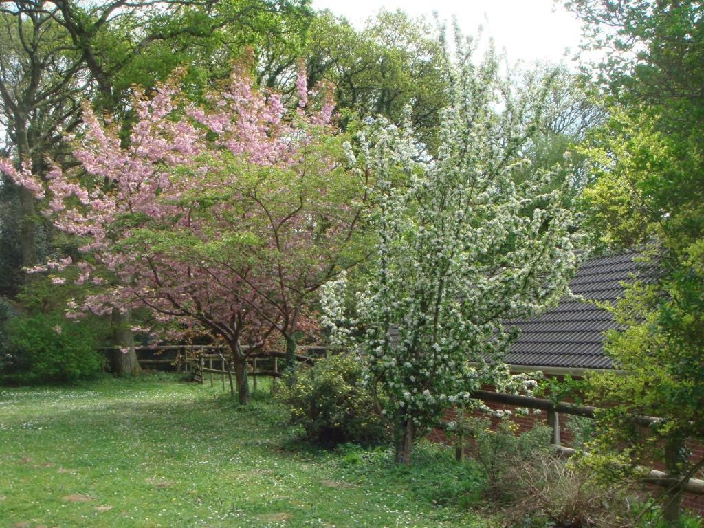 Yellowham Farm, Dorchester Higher Bockhampton Eksteriør bilde