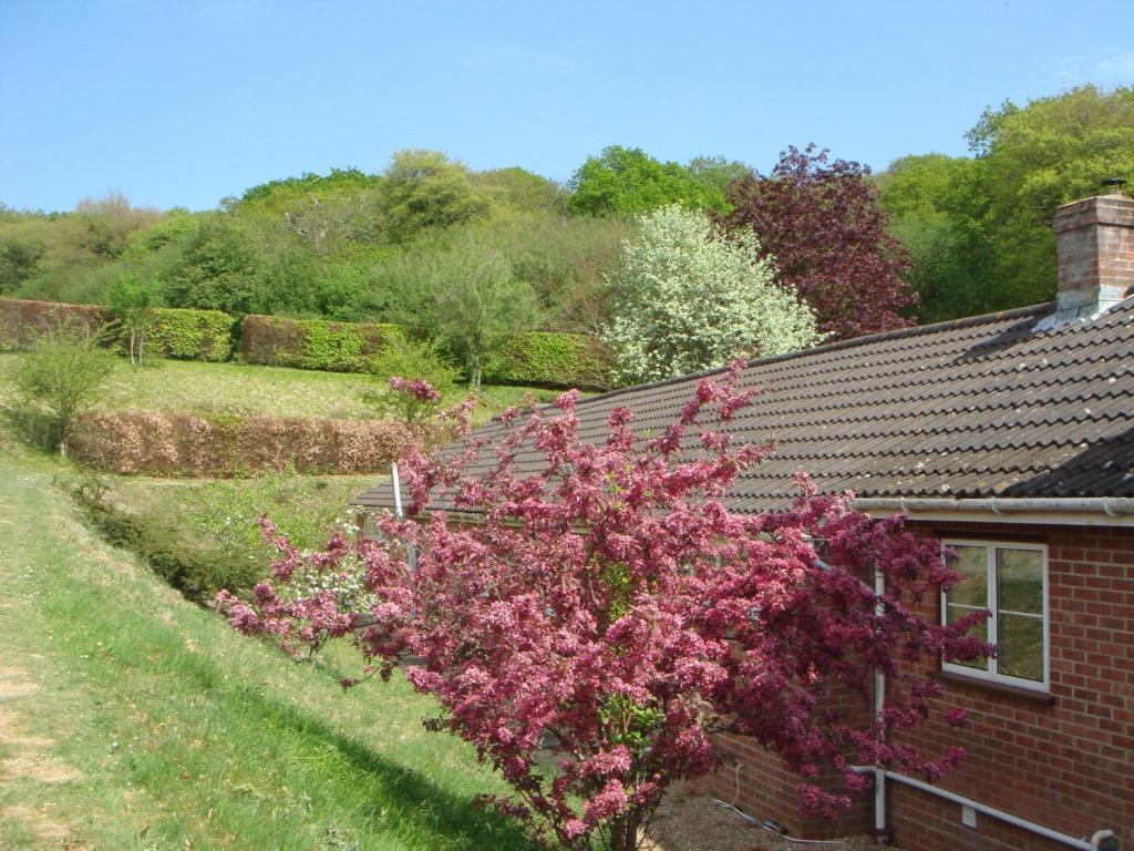 Yellowham Farm, Dorchester Higher Bockhampton Eksteriør bilde